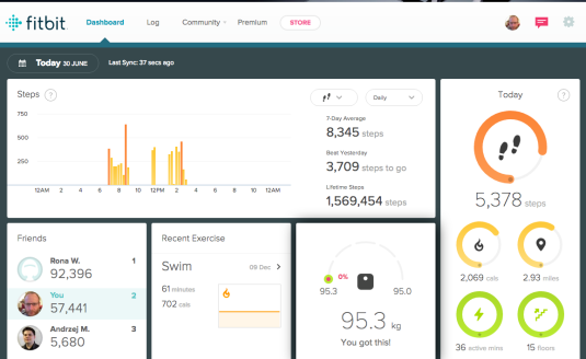 toby beresford fitbit dashboard